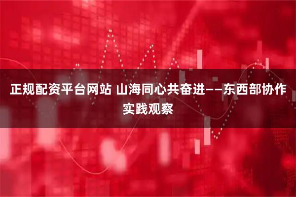 正规配资平台网站 山海同心共奋进——东西部协作实践观察